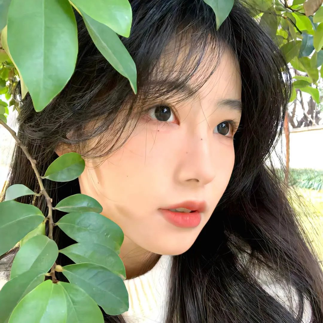 快乐的小鸡