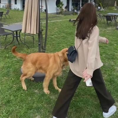 拯女记